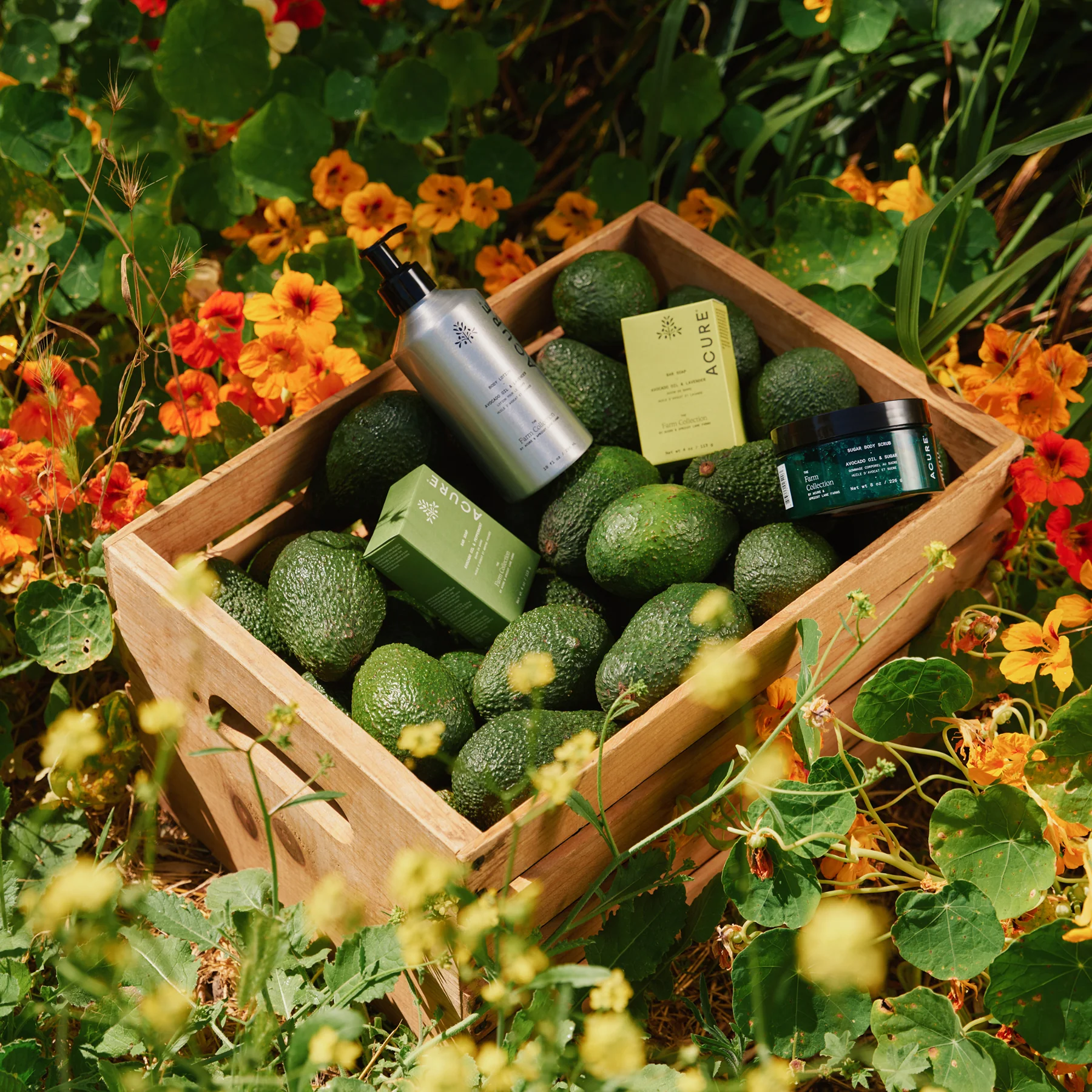 All In: The Farm Collection - Image 6