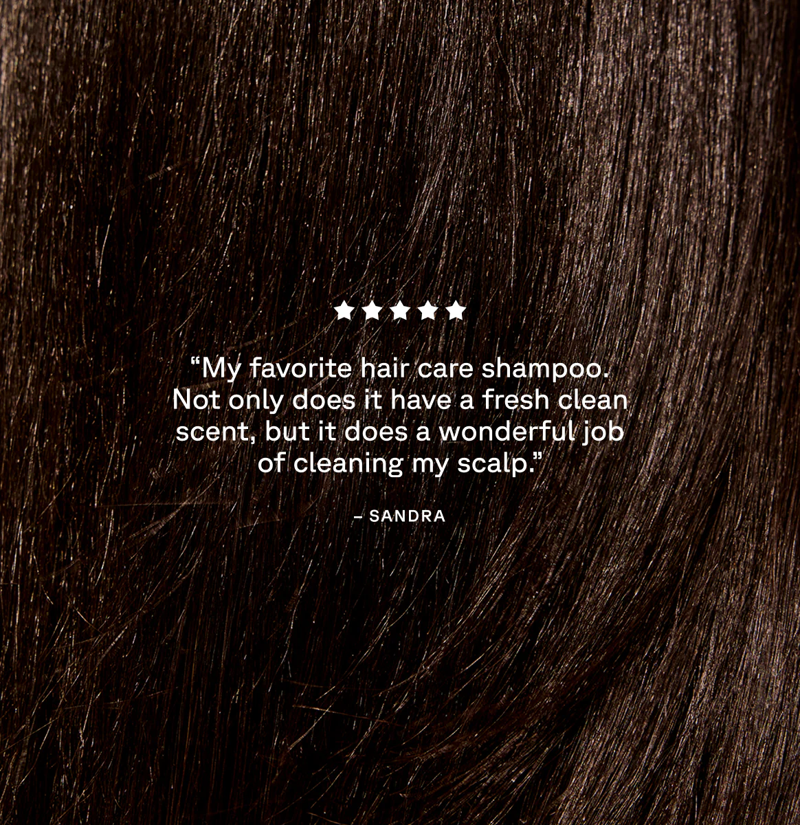 Curiously Clarifying Shampoo - Image 3