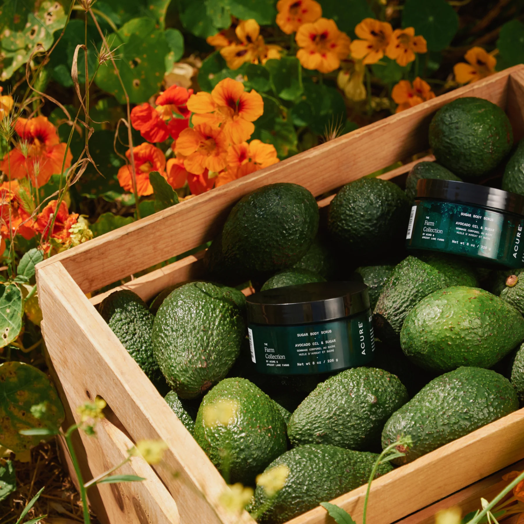 Sugar Body Scrub - Image 3