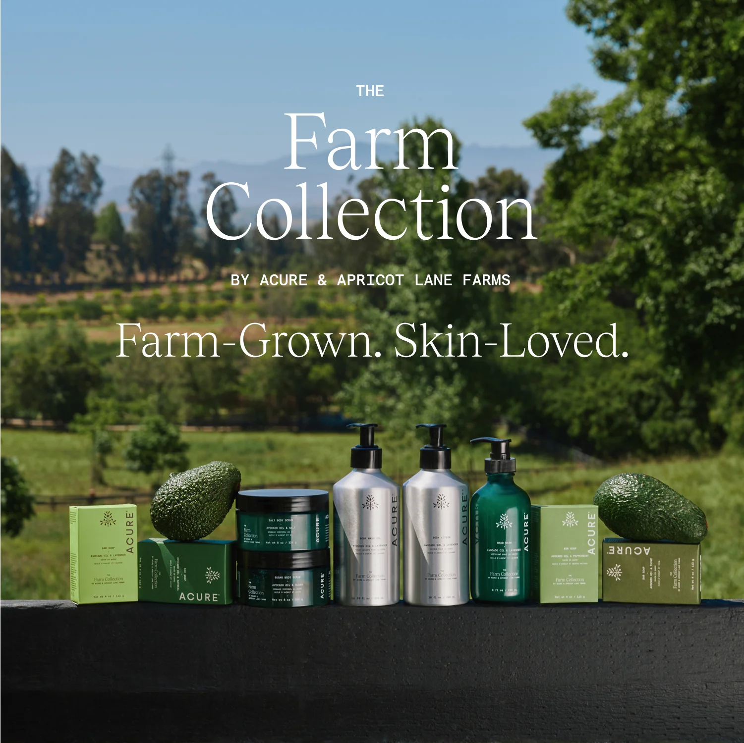 Body Lotion - Image 9