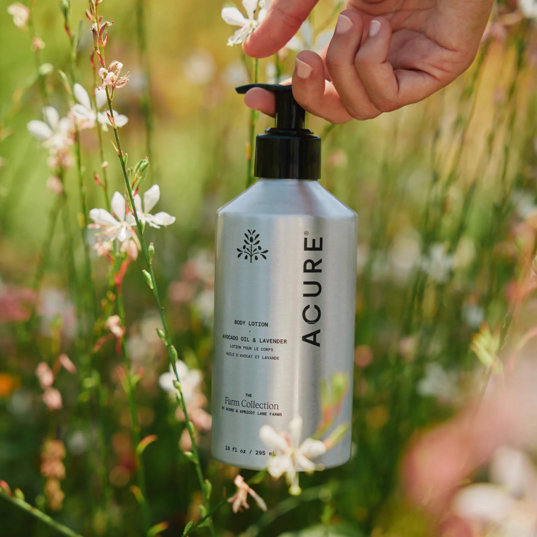Body Lotion - Image 5