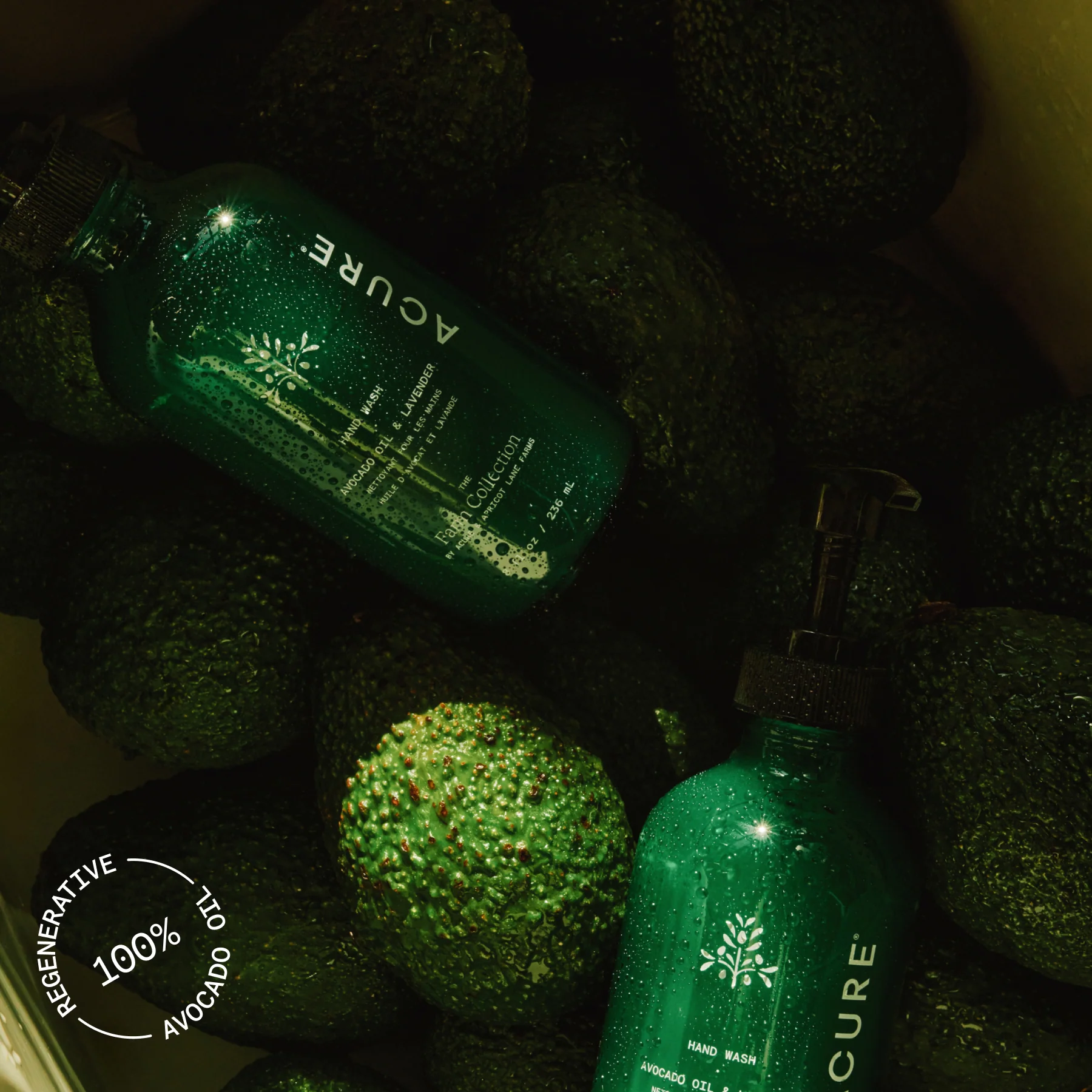 Hand Wash - Image 5